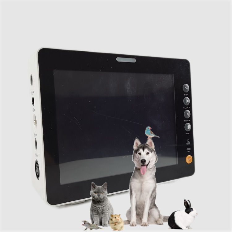 Duurzame 8 inch Vital Signs Monitor Hond Kat Schaap Uitstekende Kwaliteit Vital Signs Monitor