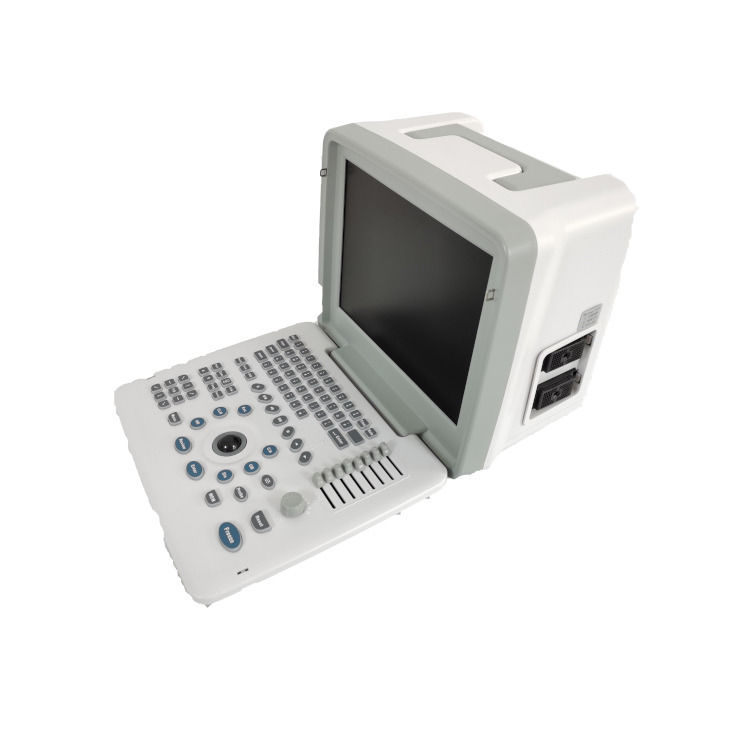 Metalen Zie Laptop B W Draagbare Zwangerschap Doppler Probe Scanner Radio Foetaal Echografie Apparaat Voor Baby
