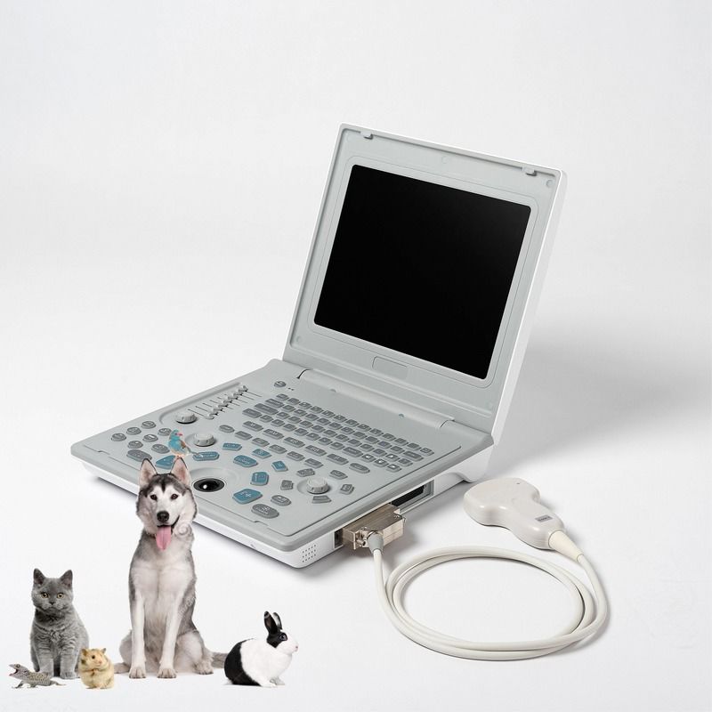 Ziekenhuis Buiten Diagnostische Lineaire Ultrasone Machine Hond Ultrasone Machine Laptop Koeien Zwangerschap Schaap Scanner