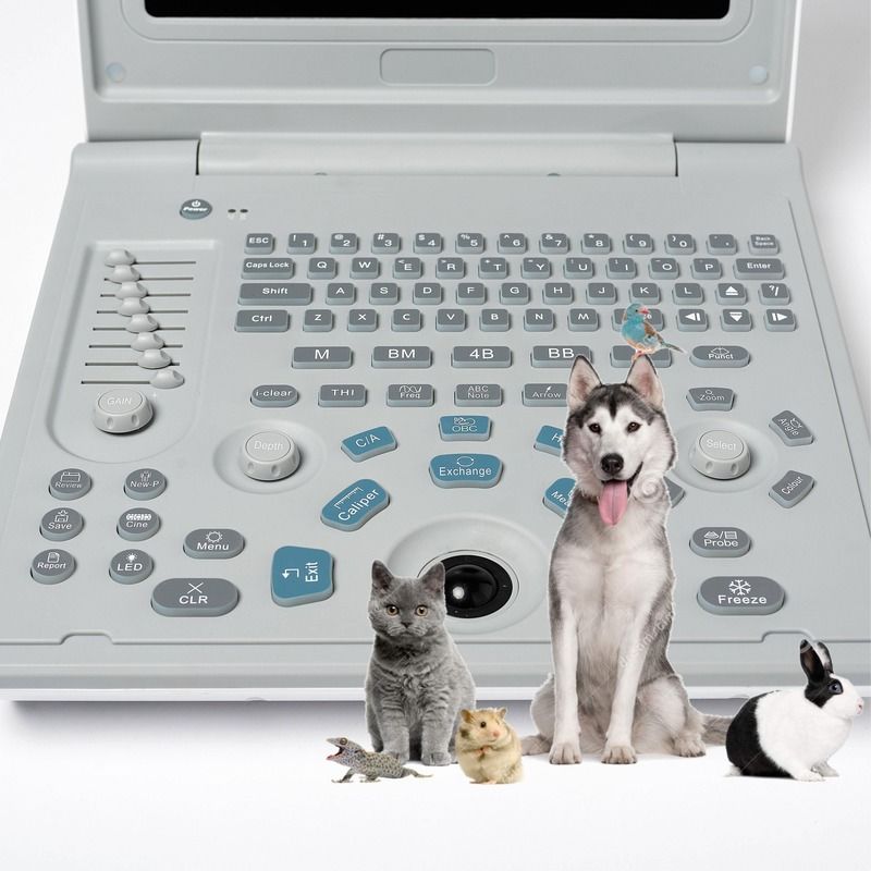 Ziekenhuis Buiten Diagnostische Lineaire Ultrasone Machine Hond Ultrasone Machine Laptop Koeien Zwangerschap Schaap Scanner