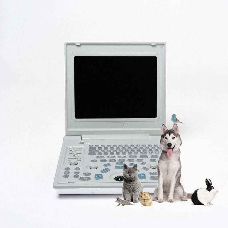 Ziekenhuis Buiten Diagnostische Lineaire Ultrasone Machine Hond Ultrasone Machine Laptop Koeien Zwangerschap Schaap Scanner