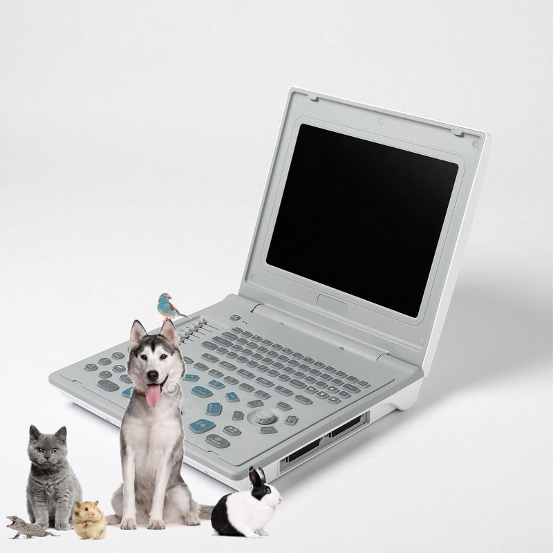 Ziekenhuis Buiten Diagnostische Lineaire Ultrasone Machine Hond Ultrasone Machine Laptop Koeien Zwangerschap Schaap Scanner
