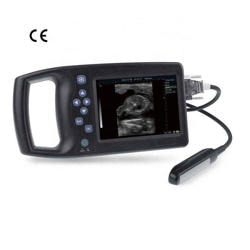 Draagbaar Veterinair Katten Ultrageluid Apparaat Rij Zwangerschap Veterinaire Tester B Varken Schaap Hond Paard Veterinaire Ultrageluid Scanner