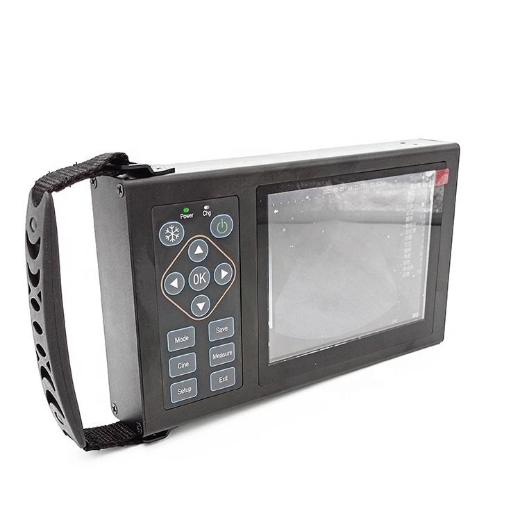 B Veterinaire echografie Honden, paarden, varkens, schrikken Zwangerschap Dieren Mobiele apparaten Veterinair Digitaal Handheld Veterinair Echografie