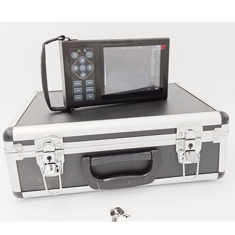 B Veterinaire echografie Honden, paarden, varkens, schrikken Zwangerschap Dieren Mobiele apparaten Veterinair Digitaal Handheld Veterinair Echografie