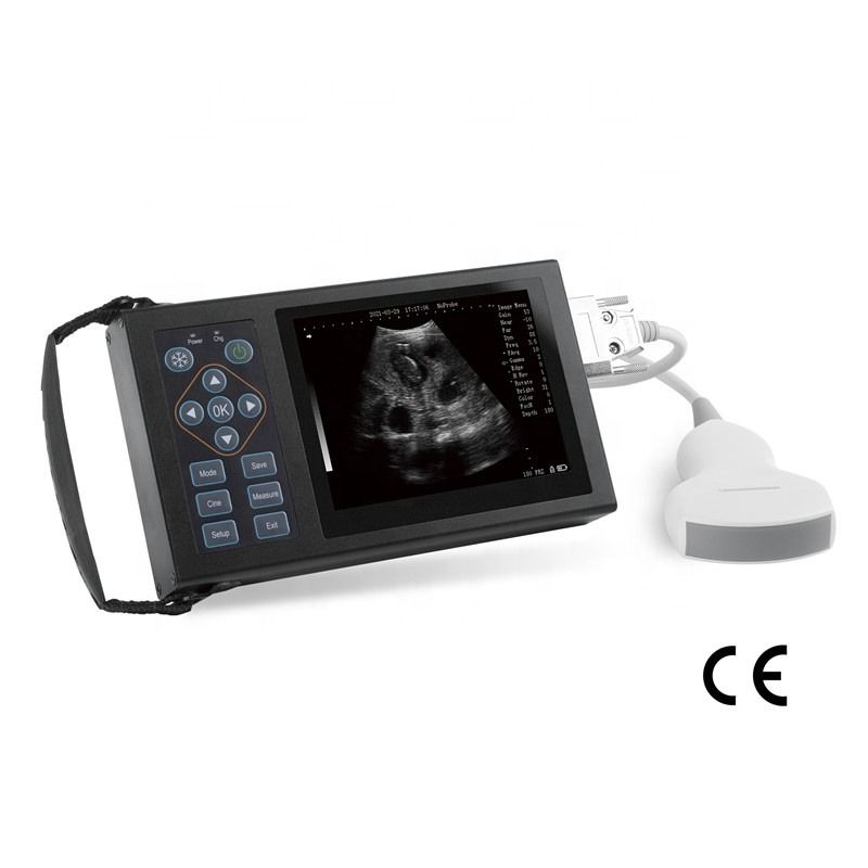 B Veterinaire echografie Honden, paarden, varkens, schrikken Zwangerschap Dieren Mobiele apparaten Veterinair Digitaal Handheld Veterinair Echografie