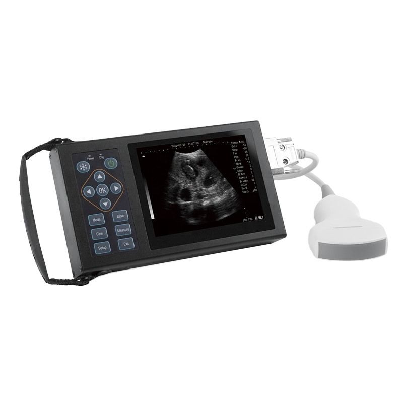 Draagbare handheld koe/paard/dieren echografie E20 B Echografie Veterinair Veterinair Echografie Voor dierenarts