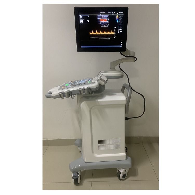 Ziekenhuis Buitenwagen 15 inch Ultrasoon Apparaat Ultrageluid Digitale Kleuren Doppler Ultrageluid Machines Medisch