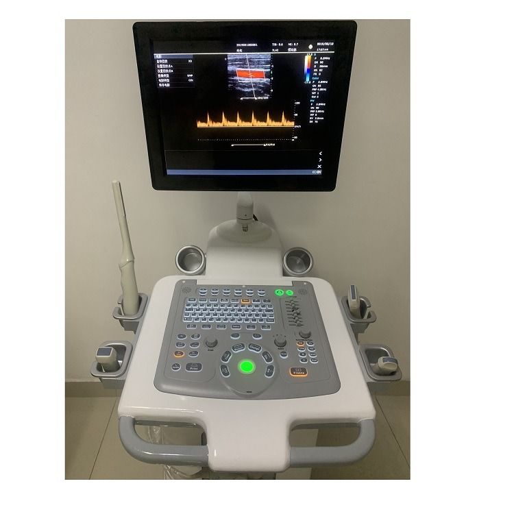 China Cart Digitaal Kleur Doppler Ultrasone Medische Ultrasone Machine Ultrasone Ziekenhuis Buiten